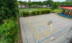 Basketball Courts - Basketball Courts