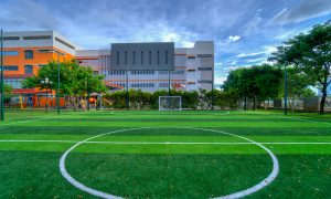 Soccer-Field-1 - Soccer Field
