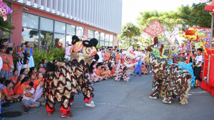 Professional performance of the Lion Dance (1)