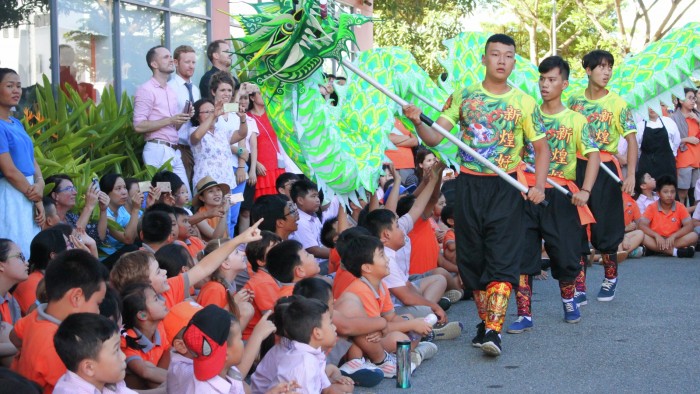 Professional performance of the Lion Dance (5)