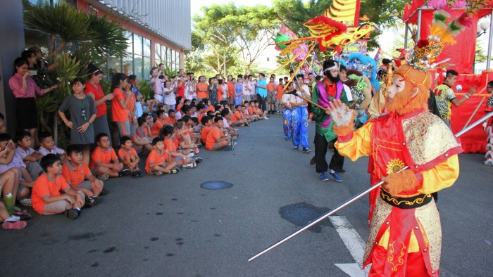 Professional performance of the Lion Dance (9)